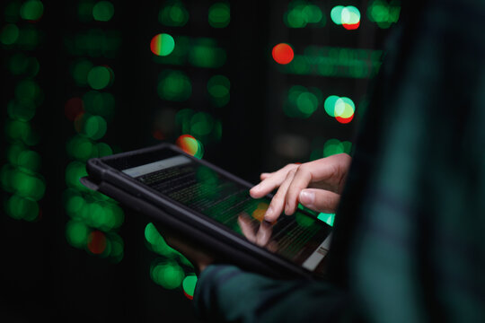 IT employee analysing code of computer server 