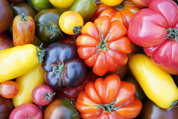 Fresh and nutritious tomato object, orgamic heirloom tomato
