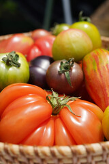 Fototapeta na wymiar Fresh and nutritious tomato object, orgamic heirloom tomato