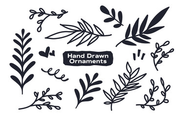 Hand Drawn Ornaments Vector Elegant And Luxury Elements Set
