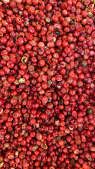 Food seasoning red pepper close-up