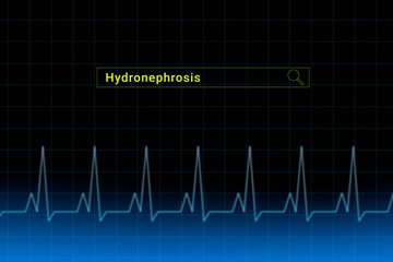 Hydronephrosis.Hydronephrosis inscription in search bar. Illustration with titled Hydronephrosis . Heartbeat line as a symbol of human disease.