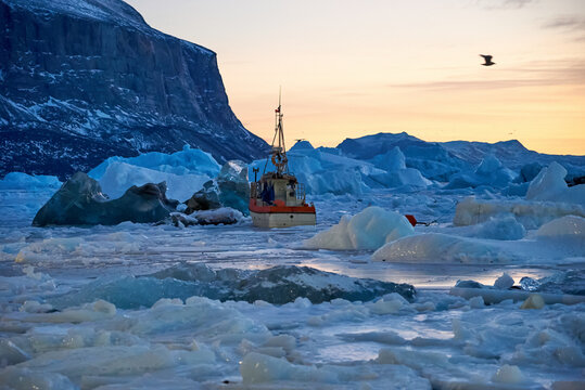 Greenland fishing boats frozen into sea ice, icebergs in winter night