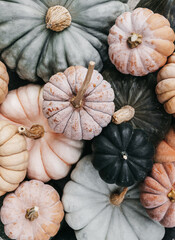 Fall assortment of pumpkins
