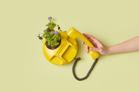Old-school yellow telephone with flowers