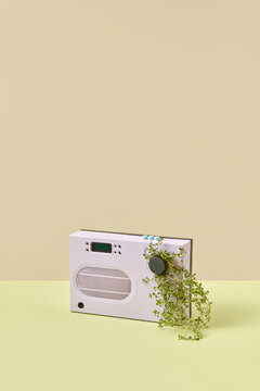 Green plant growing out of pink radio