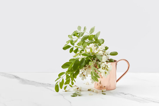Acacia flowers in copped pot