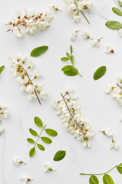 Acacia flowers over white marble background.
