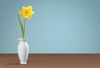 Beautiful bouquet of fresh flowers against a blue wall
