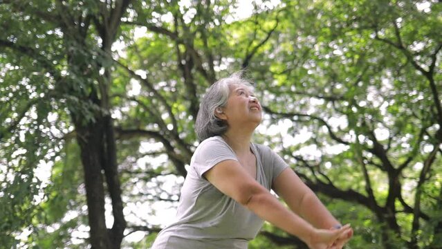 elderly woman exercising in the park Happy smile. concept of health care for the elderly