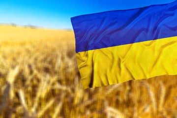 Grains wheat and Ukraine flag, trade export and economy concept.