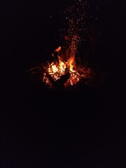 Fire in the woods