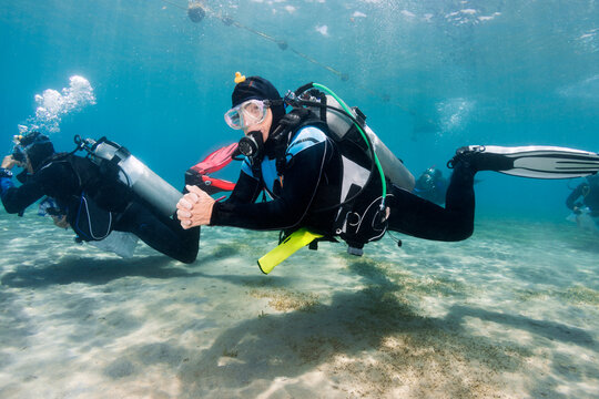 Scuba Divers at Underwater Cleanup