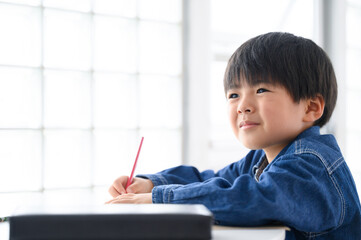  A boy studying, lower grades