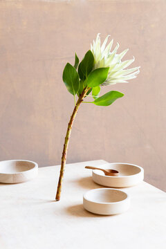 Mimimal still life objects