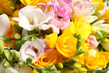 Obraz na płótnie Canvas Beautiful colorful freesia bouquet as background, closeup