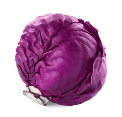Fototapeta premium One fresh ripe red cabbage isolated on white