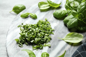Fresh green basil on light grey table, closeup