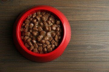 Wet pet food in feeding bowl on wooden background, top view. Space for text