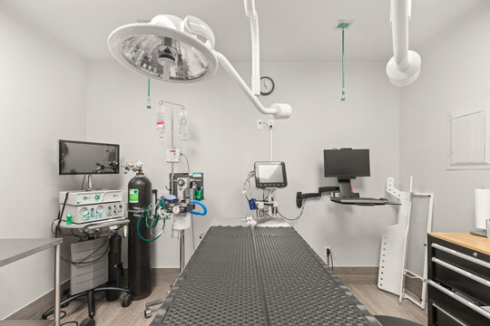 Operating Room at Veterinary Clinic