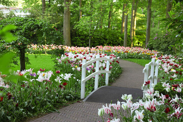 Park with beautiful flowers and bridge over canal. Spring season