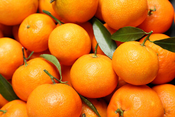 Fresh ripe tangerines with leaves as background, above view. Citrus fruit