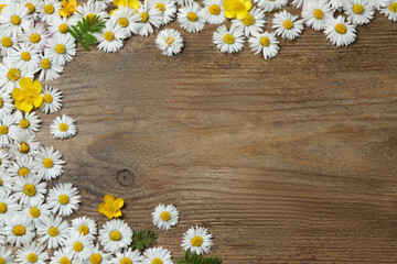 Obraz premium Beautiful flowers and leaves on wooden table, flat lay. Space for text