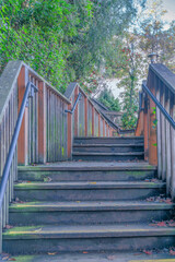 Outdoor wood stairs with moss stains and fallen leaves on the side of the steps- San Francisco, CA