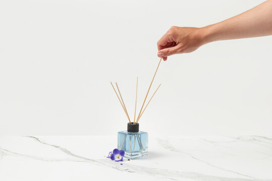 Female hand touching aroma diffuser with beautiful violet flowers.