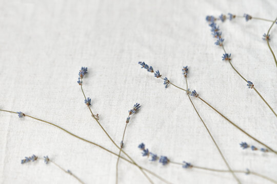Lavender flowers on linen cloth.