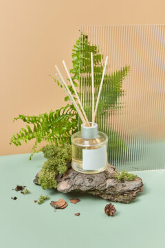 Glass aroma diffuser with leaves and natural timber.