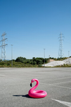 pink flamingo abandoned in a parking lot
