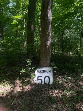 speed limit sign in a forest