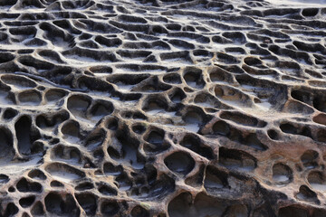 Sandstone weathering in the Royal National Park, Sydney Australia