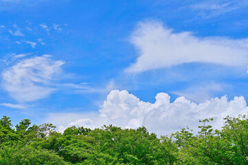 湘南の真夏の空と雲