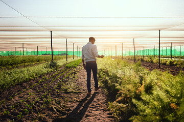 Farmer with tablet checking farm growth, managing plant export orders on technology and monitoring farming progress. Gardener and environmental scientist analyzing greenhouse science data on estate - obrazy, fototapety, plakaty