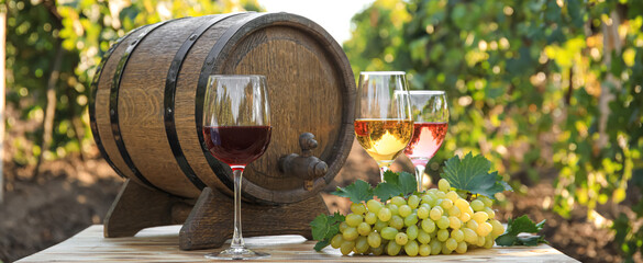Barrel and glasses of tasty wine and ripe grapes on table in vineyard