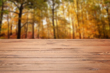 Naklejka na ściany i meble Empty wooden table in beautiful autumn park on sunny day