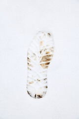 Snow shoe print