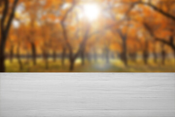 Naklejka na ściany i meble Empty light wooden table in autumn park on sunny day