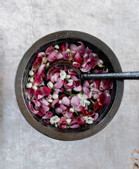 pink rose petals in a bowl, rose, flower