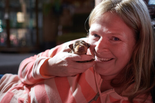 Miniature Pinscher puppy at 4 weeks of age