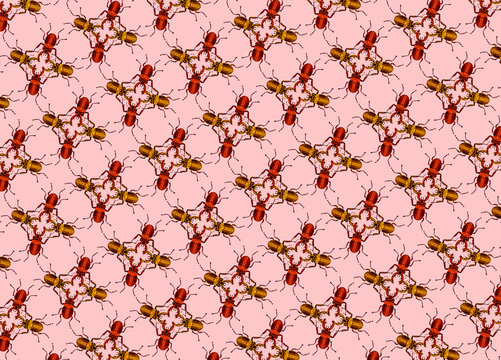 Beetle Pattern on Pink Background