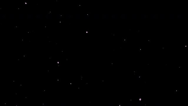 桜吹雪　普通　合成素材（ルミナンスマット付き）