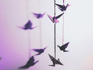 Two origamis in the corner