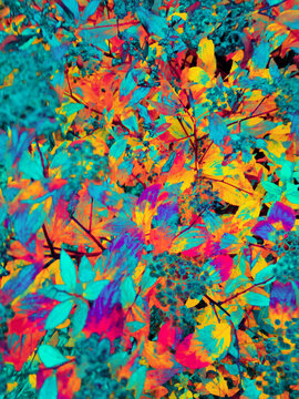 Vibrant, colorful fractal-like bush flowers