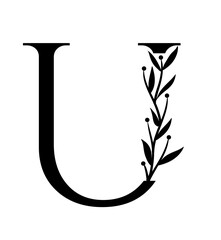 Leaves Letter U