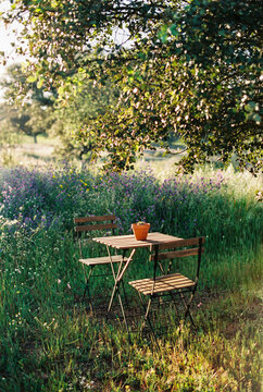 Table and chairs in the garden