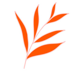 Leaves Plant Texture