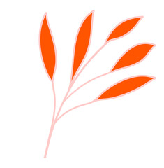 Leaves Plant Texture